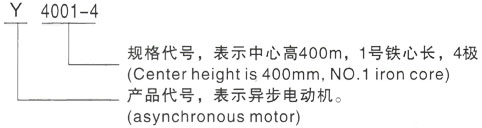 西安泰富西玛Y系列(H355-1000)高压YJTG-180L-8A/11KW三相异步电机型号说明