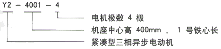 YR系列(H355-1000)高压YJTG-180L-8A/11KW三相异步电机西安西玛电机型号说明